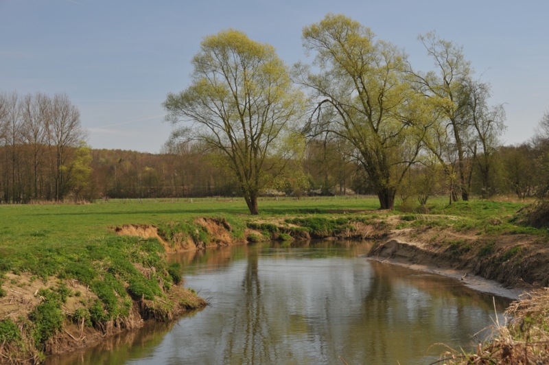 Oud-Heverlee photo 3