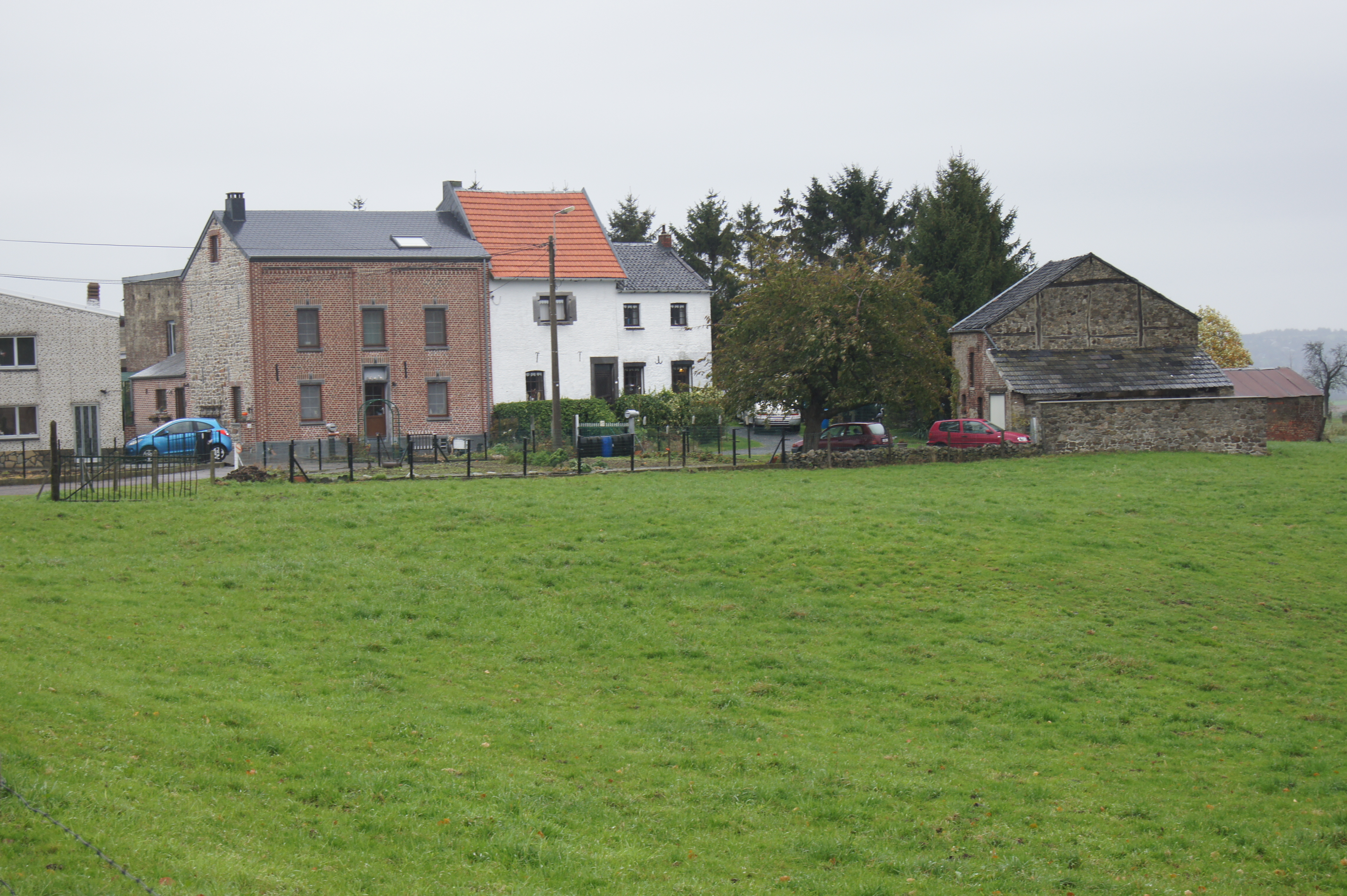 Trembleur photo 4