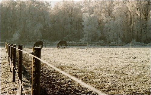 Wuustwezel photo 3