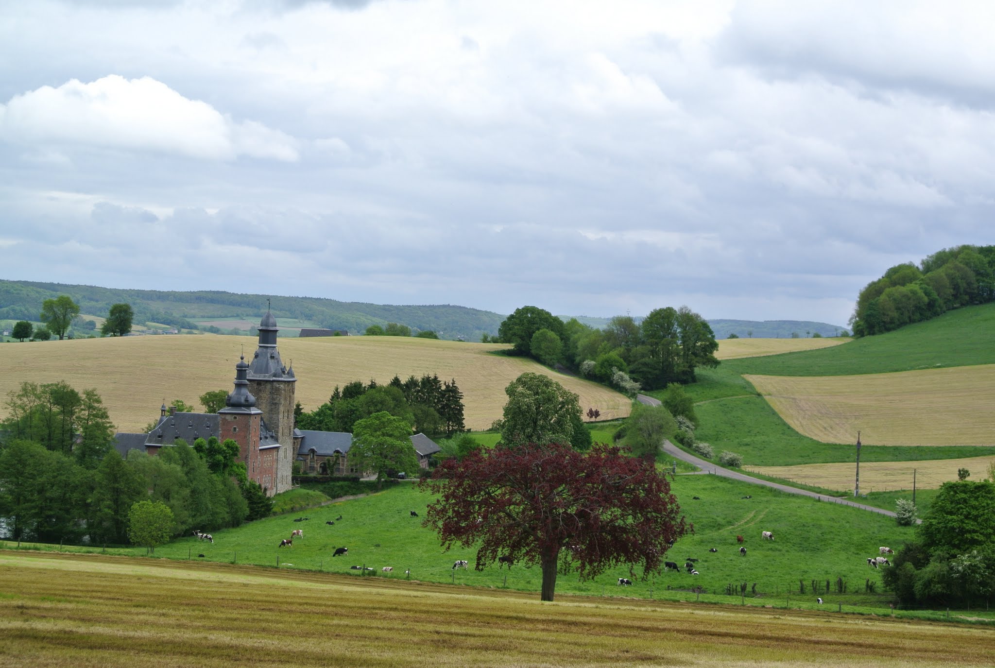 Plombières photo 4