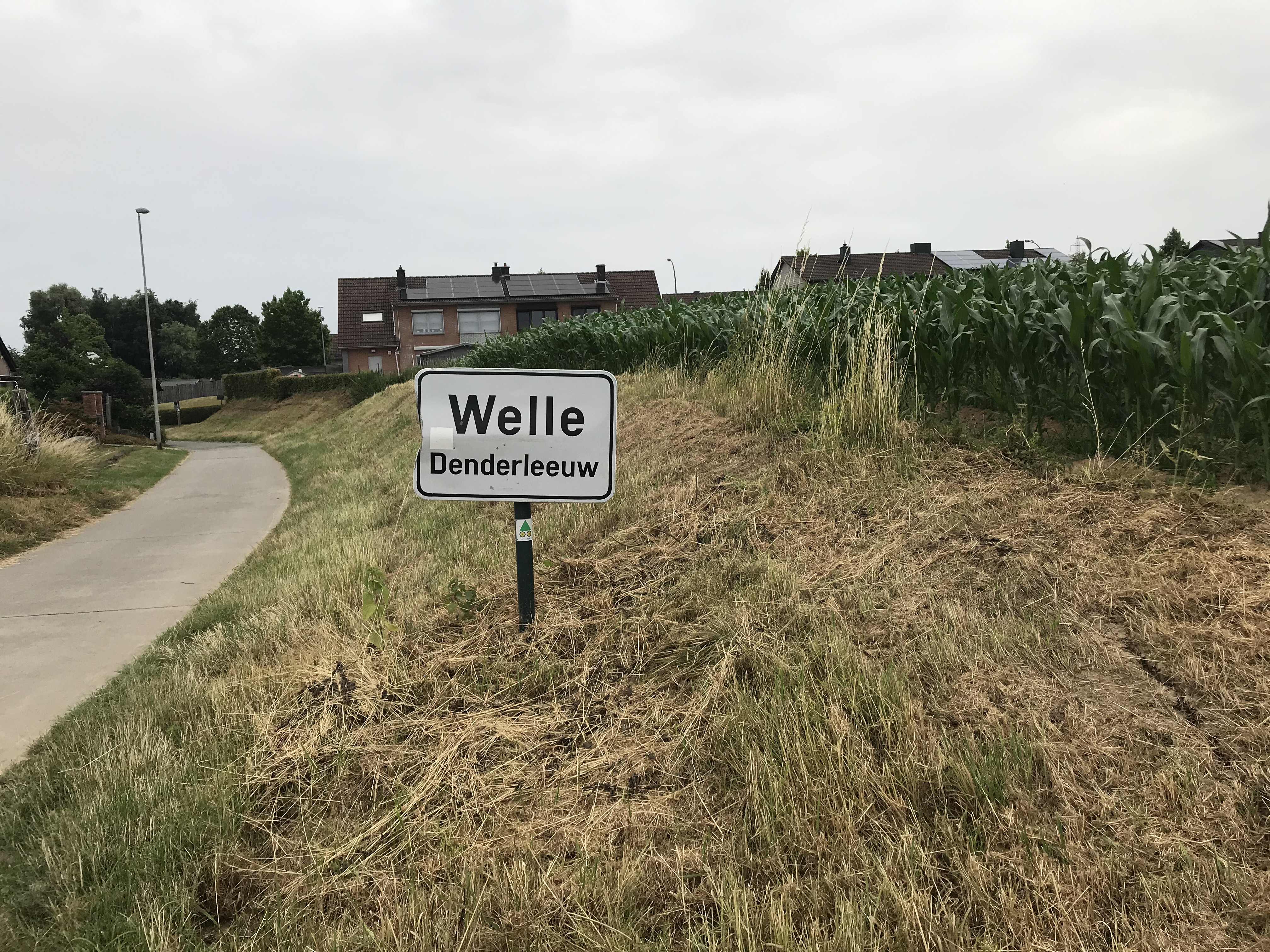 Welle, Flanders