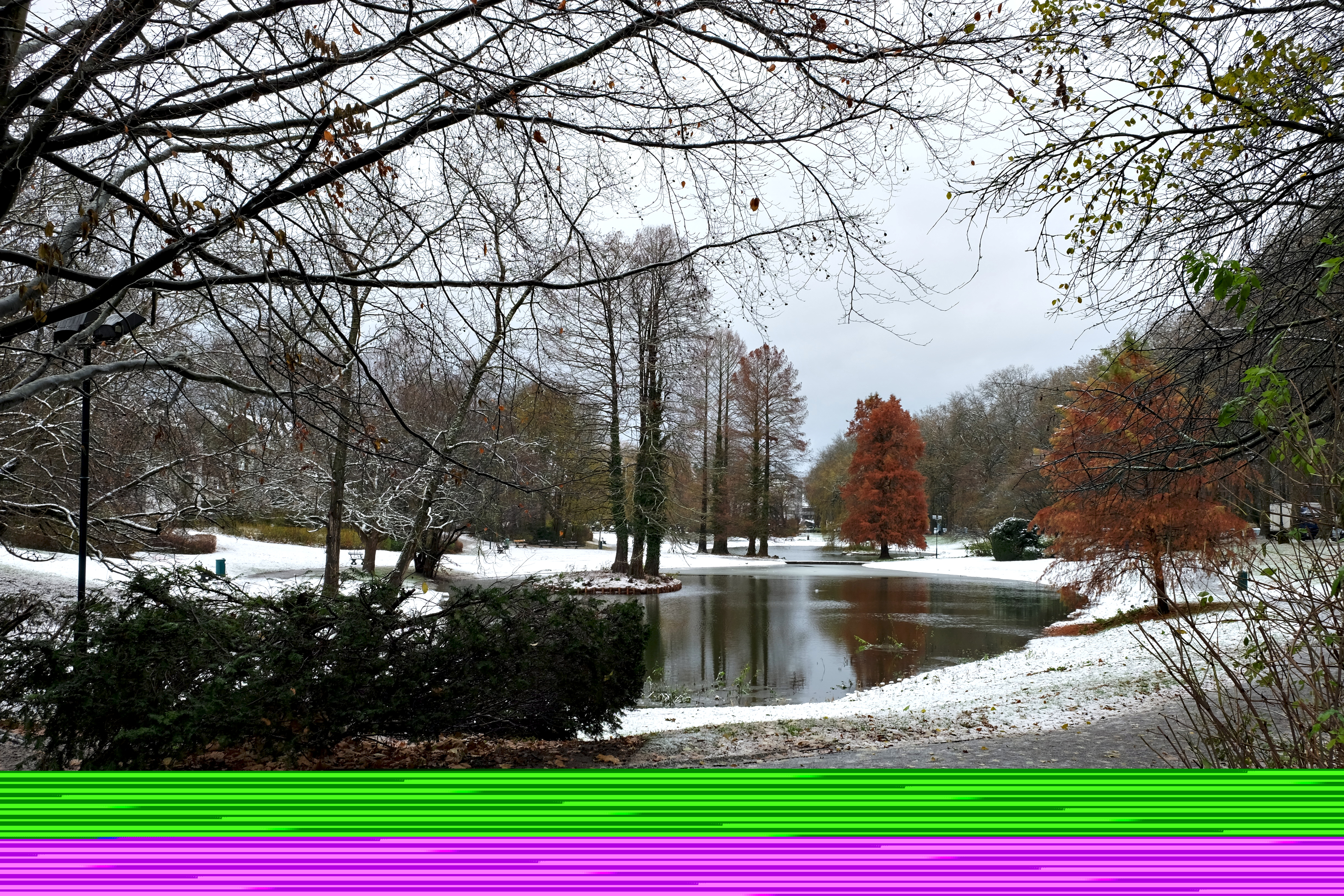 Watermael-Boitsfort photo 4