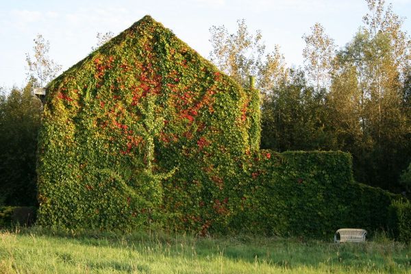 Ruisbroek photo 4
