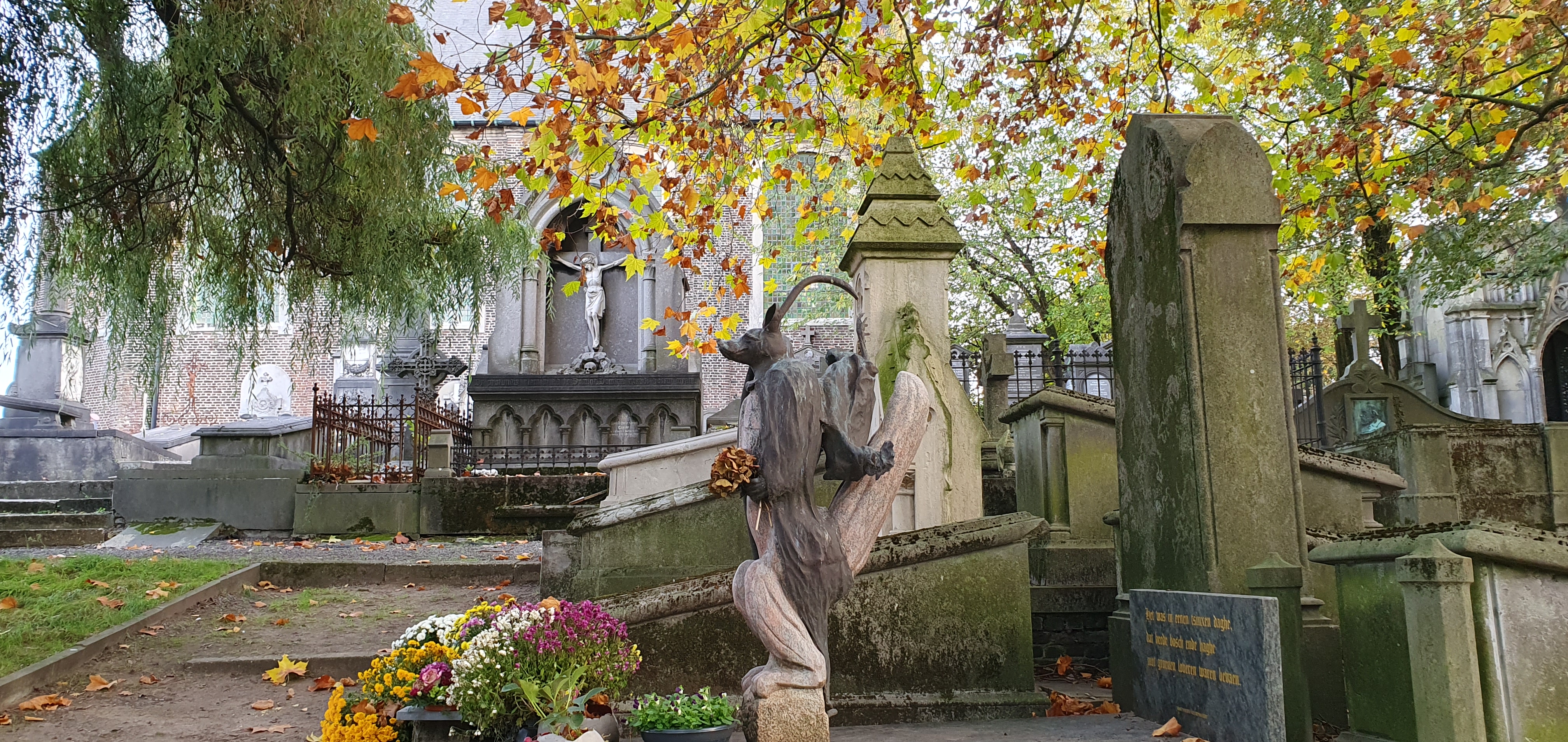Sint-Amandsberg photo 2
