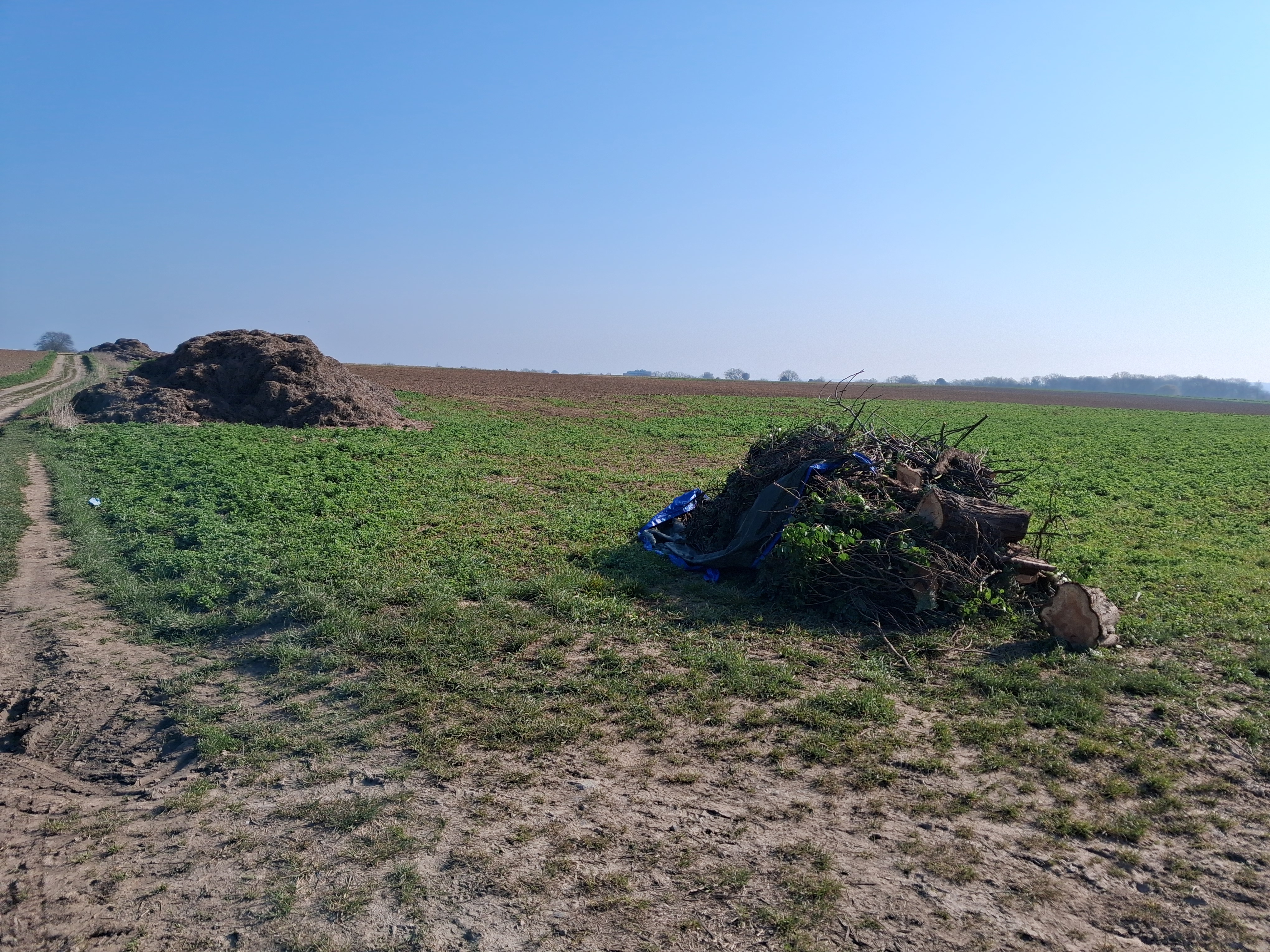 Vivegnis photo 2