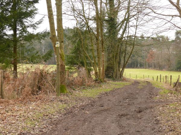 Plainevaux - City in Wallonia