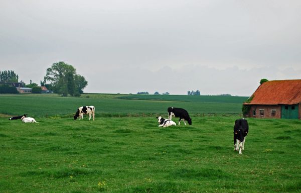 Poperinge, Flanders