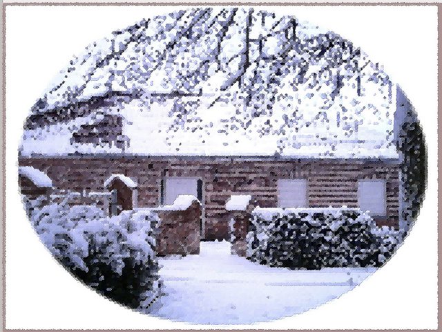 Tremelo photo 4