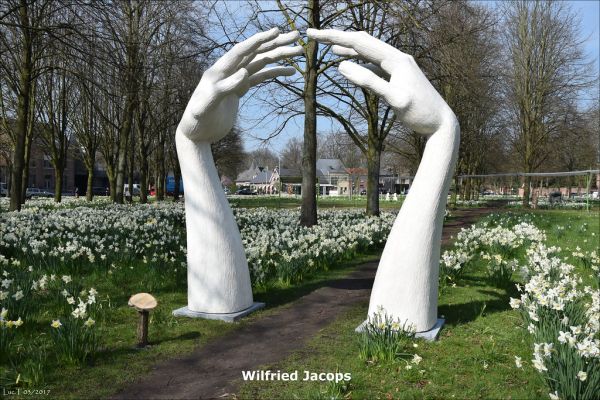 Opdorp photo 2