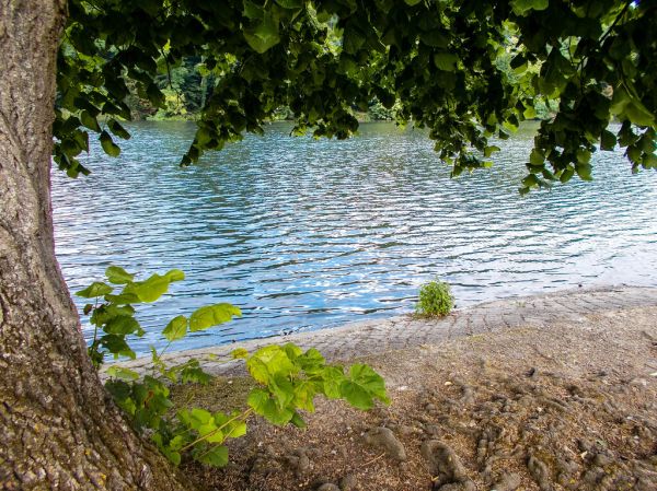 Sint-Genesius-Rode photo 3