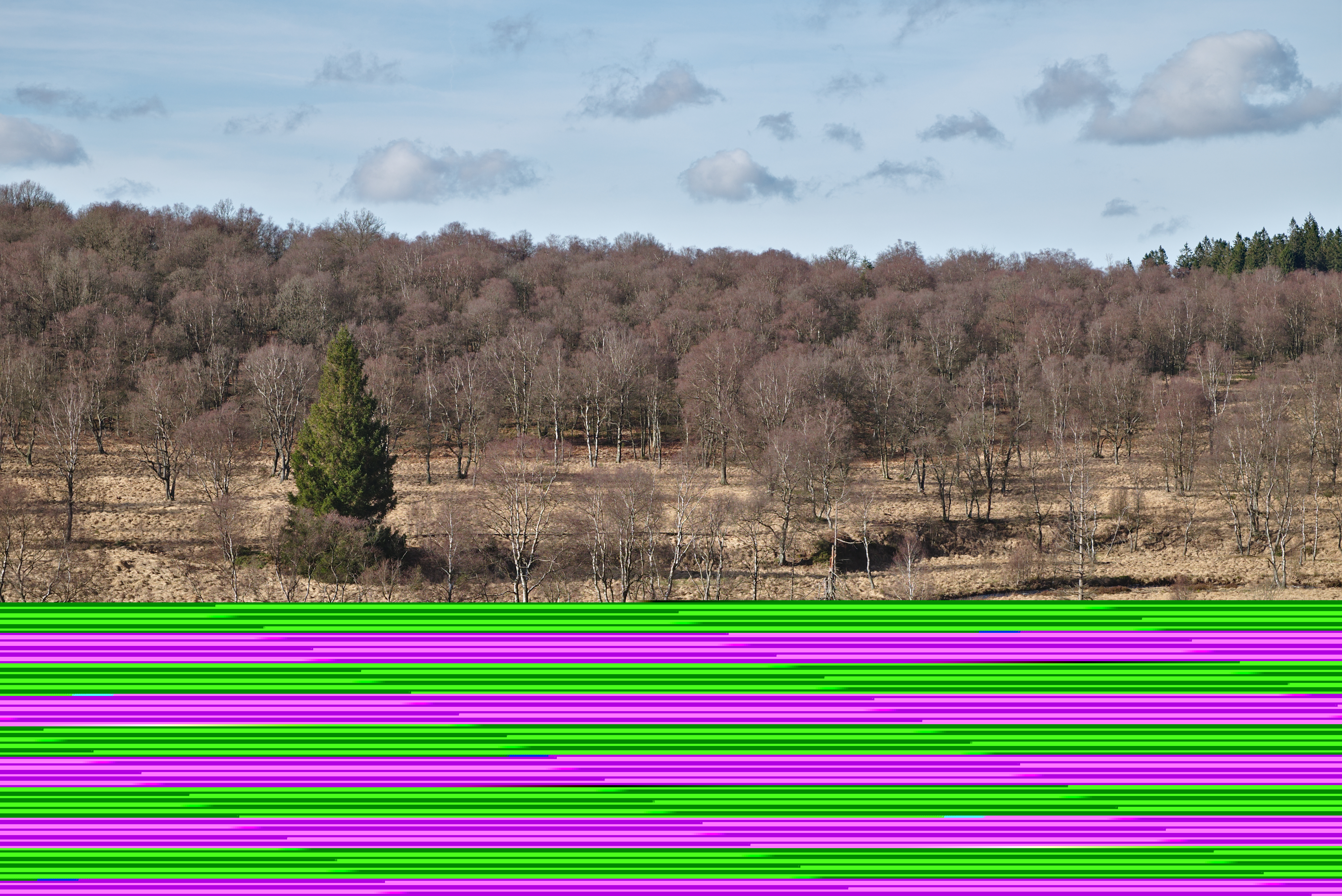 Waimes, Wallonia