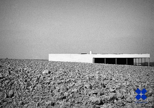 Zingem photo 4