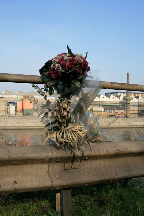 Tilleur photo 4