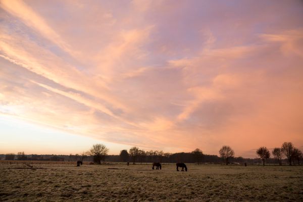 Vlimmeren photo 3