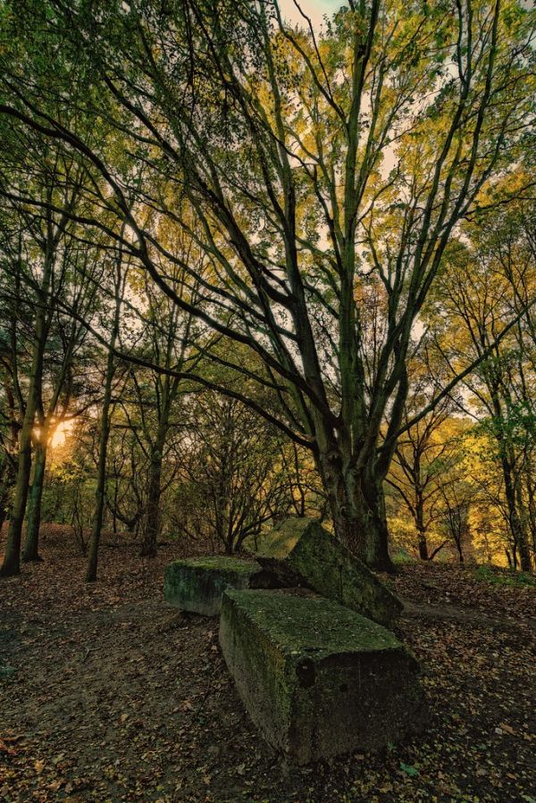Wilrijk photo 4