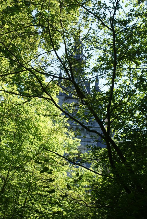 Tilff photo 4
