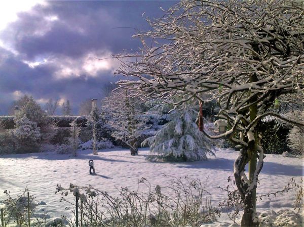 Overijse photo 3