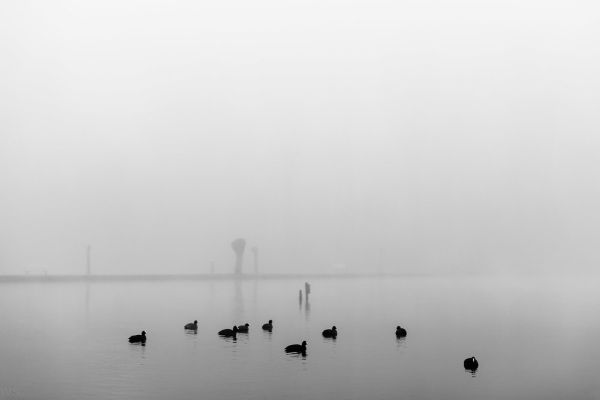 Overmere photo 3