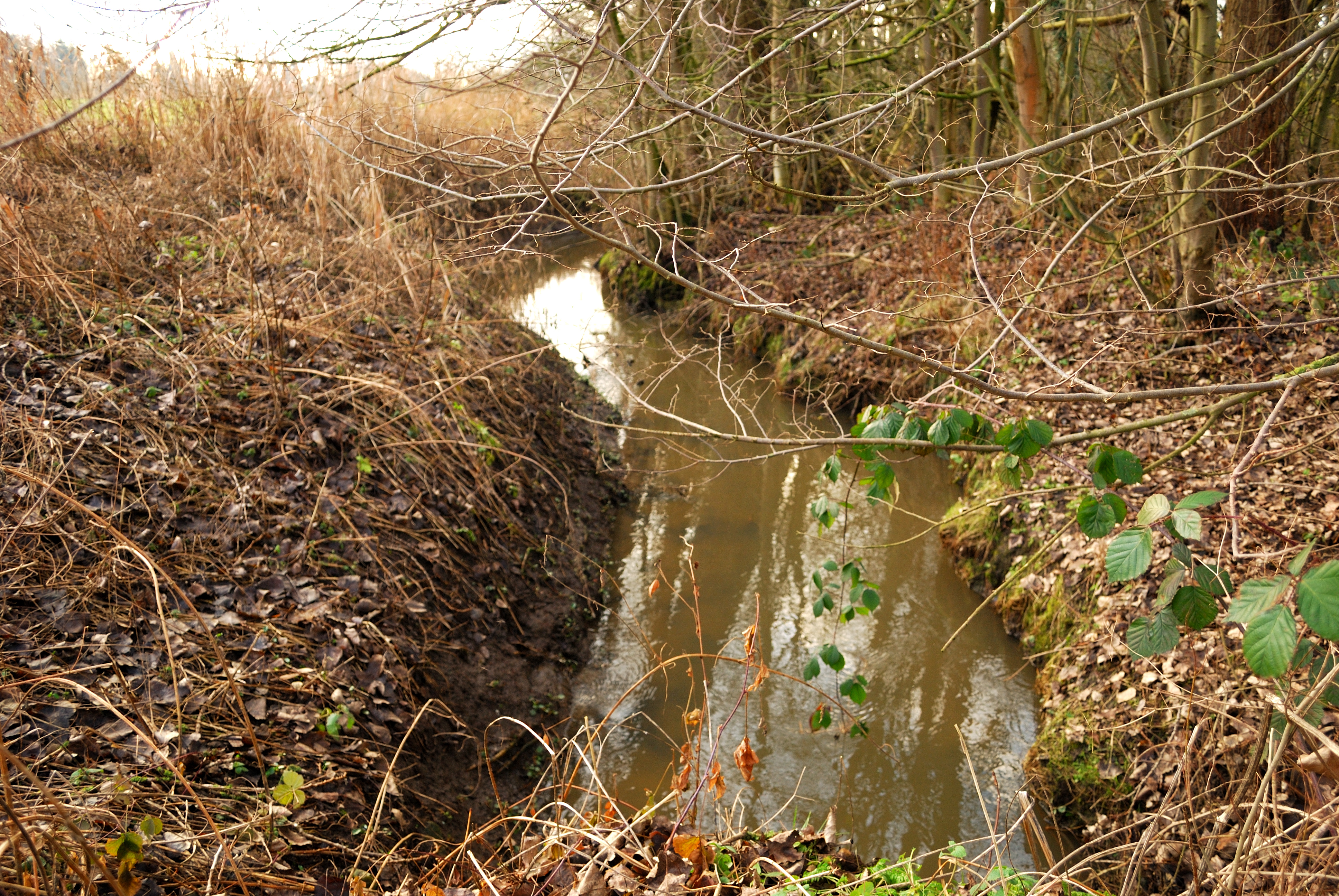 Sint-Martens-Bodegem, Flanders