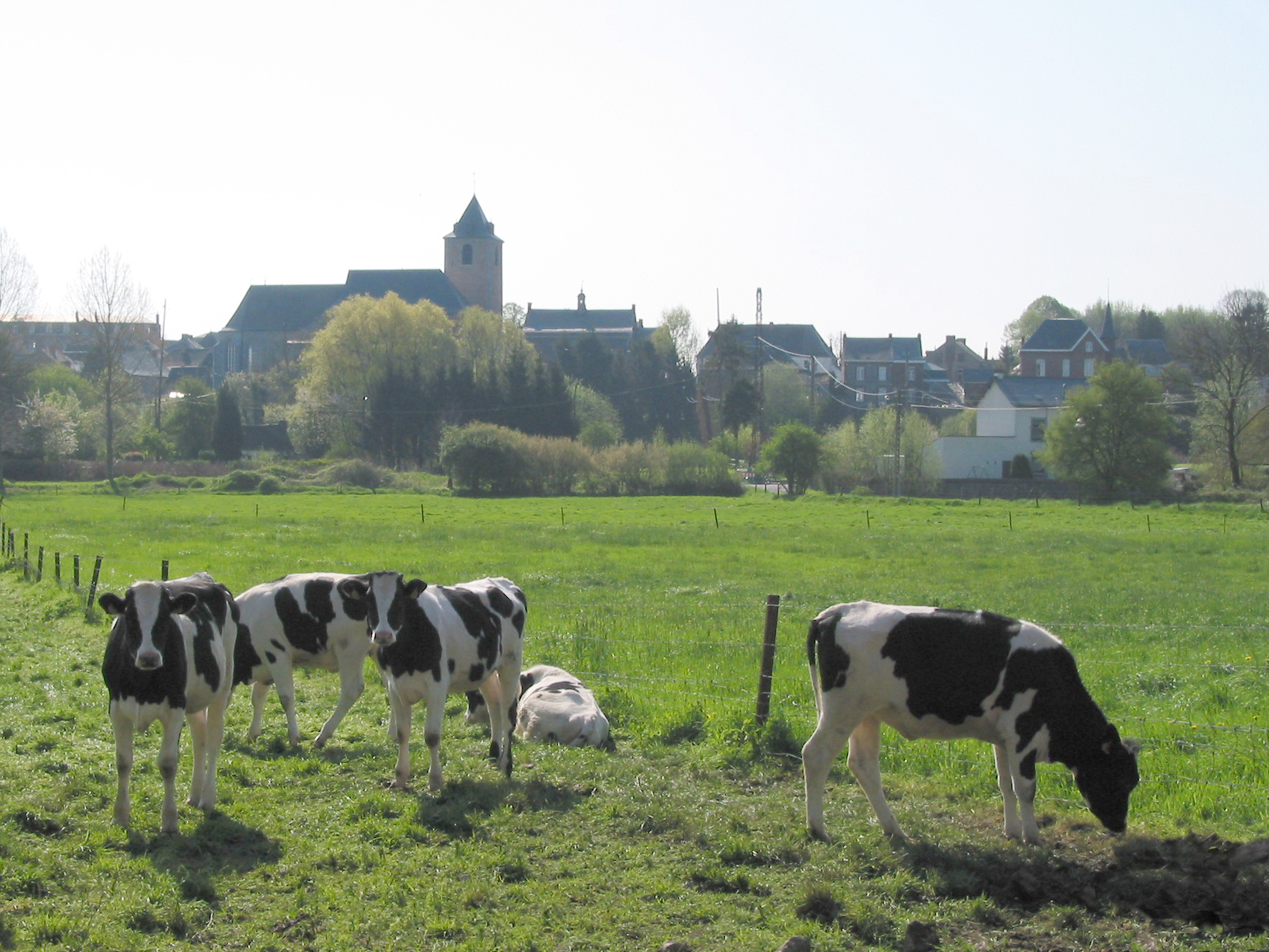 Solre-sur-Sambre photo 3