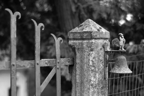 Wauthier-Braine photo 3