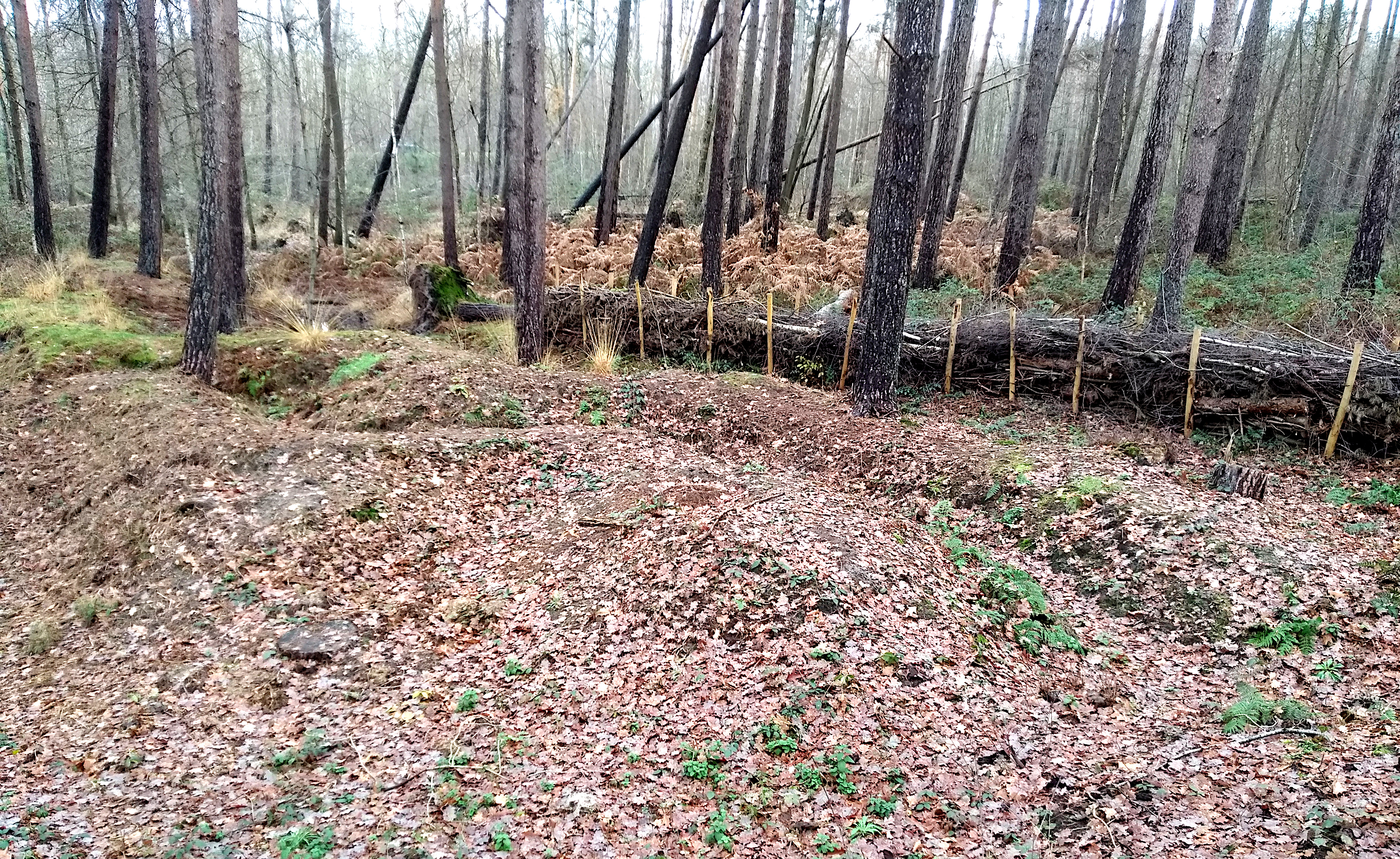 Zutendaal photo 3