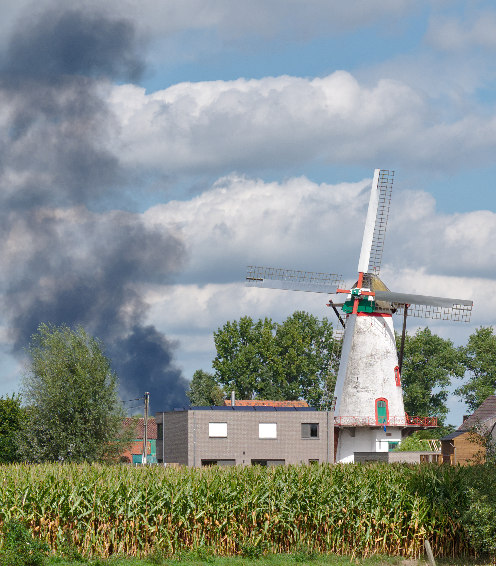 Ruiselede photo 4
