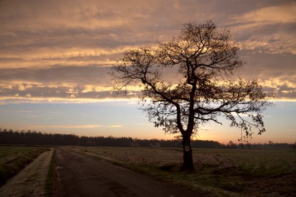 Vlimmeren photo 2