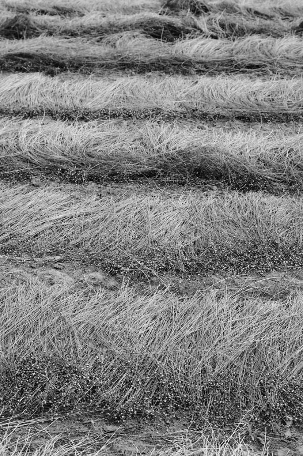 Wauthier-Braine photo 4