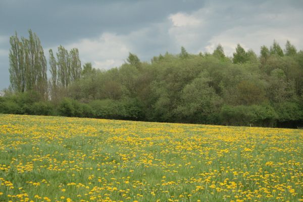 Olne photo 3