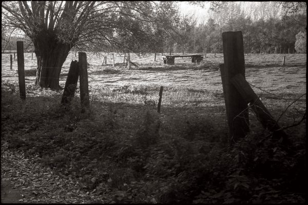 Ramillies photo 2