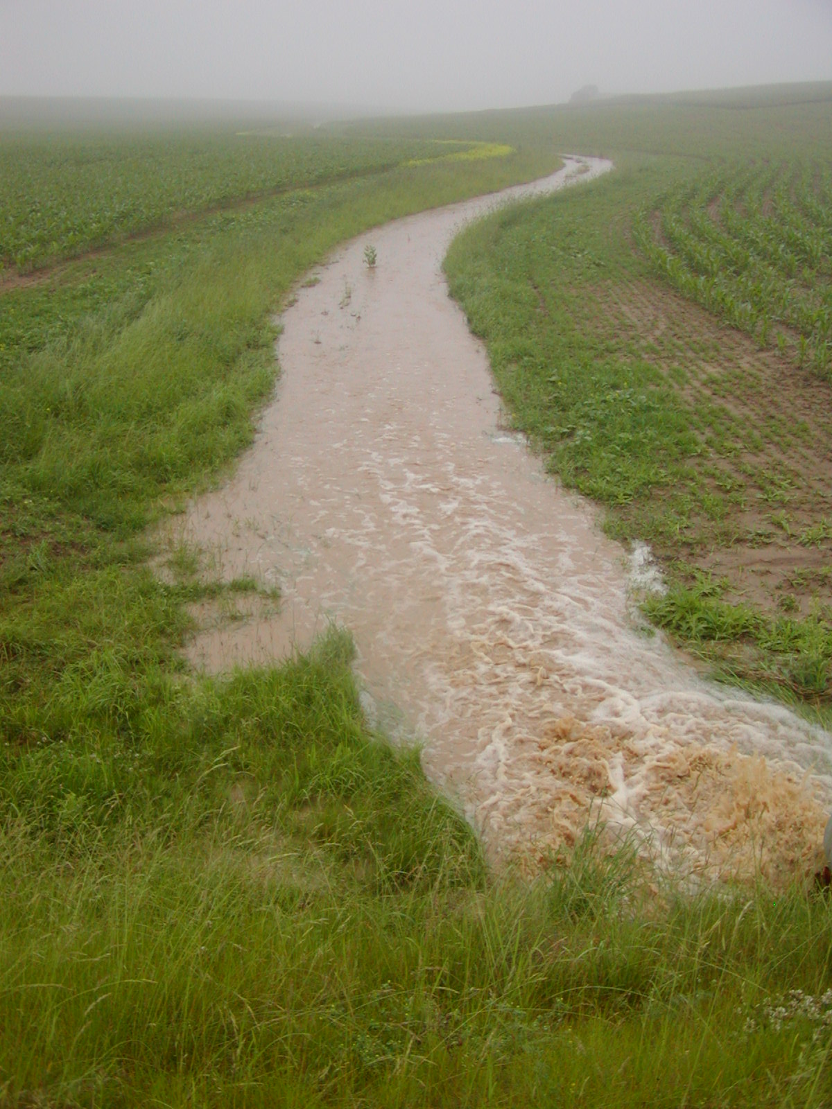 Velm photo 4