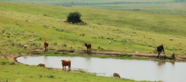 Açude Touro, Ceara