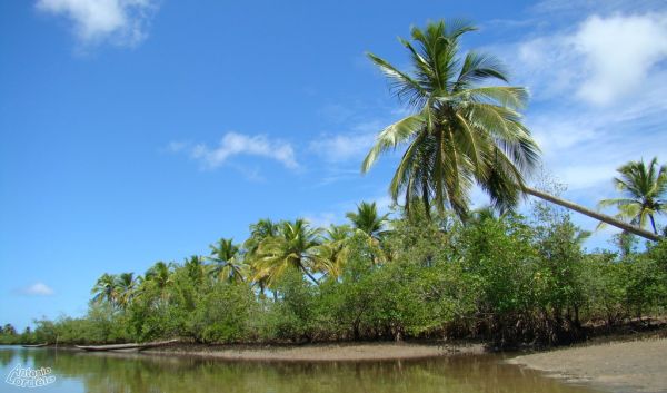 Verdejante photo 2