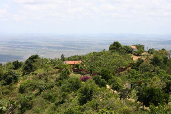 Vila Flor photo 3