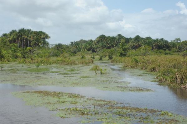 Tracuateua photo 2
