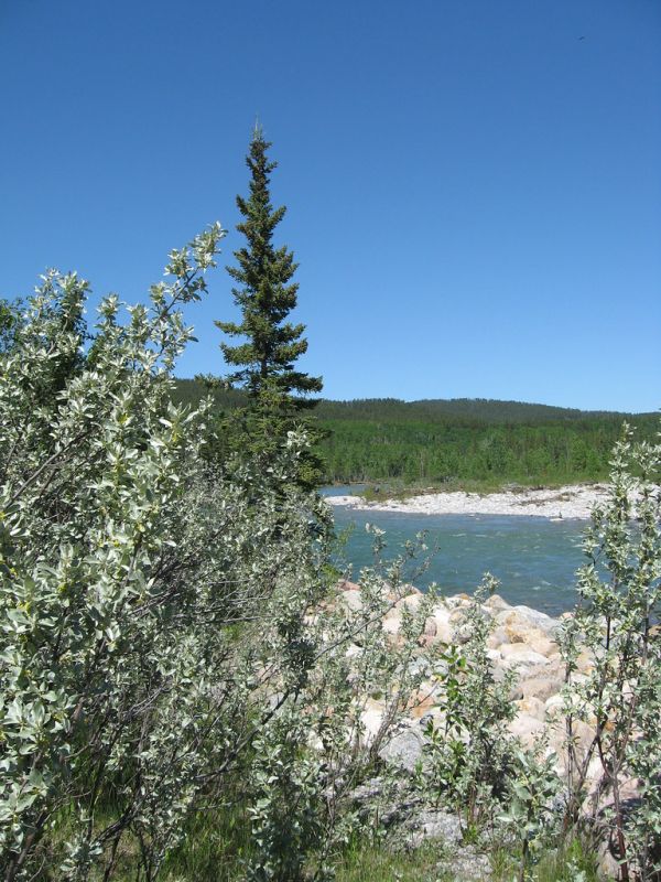 Allsmoke Mountain, Alberta