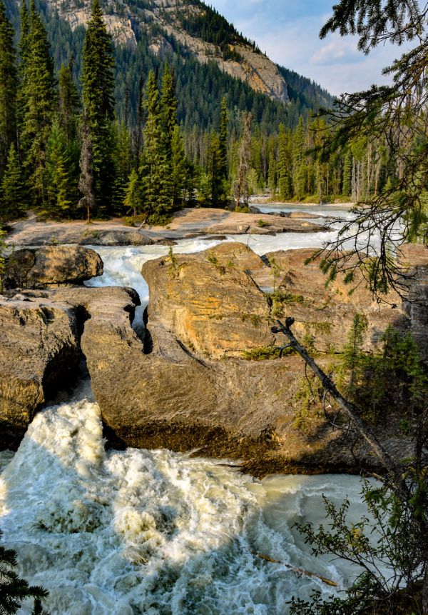 Amiskwi River, British Columbia