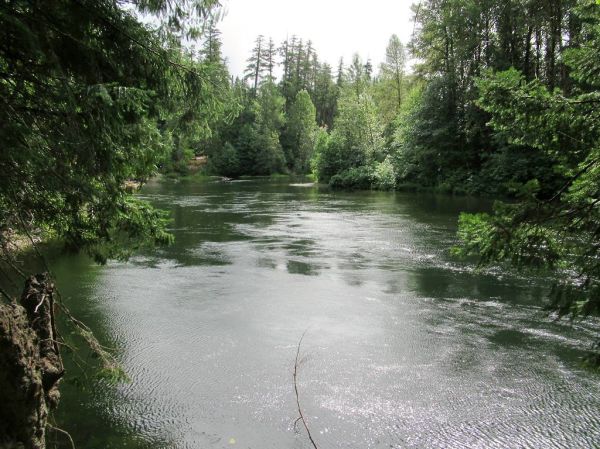 Atnarko River, British Columbia
