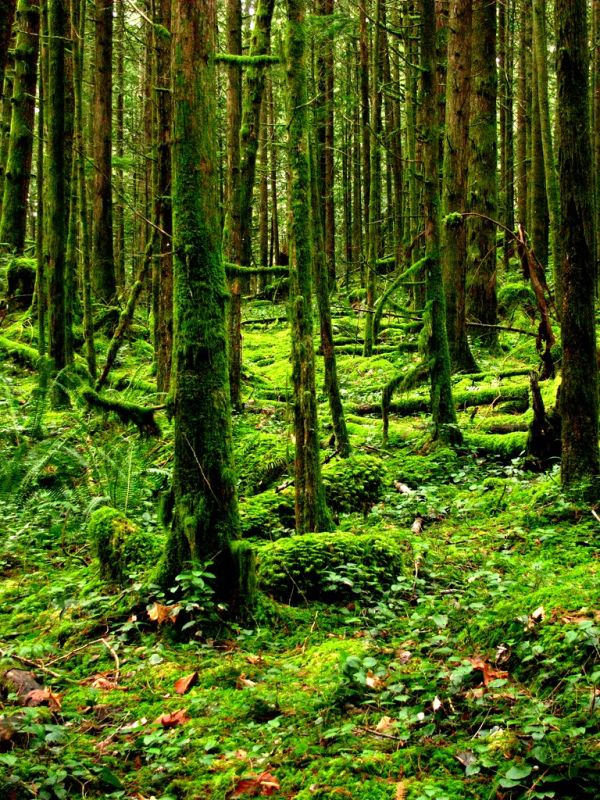 Agassiz, British Columbia