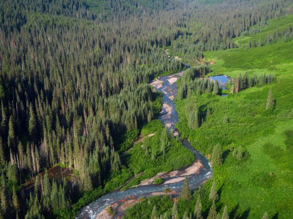 Babine River, British Columbia