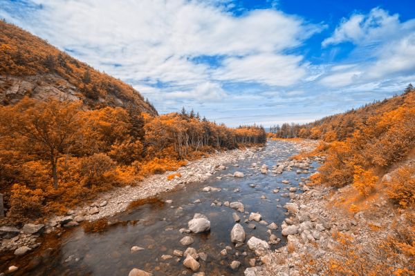Amber River, Alberta