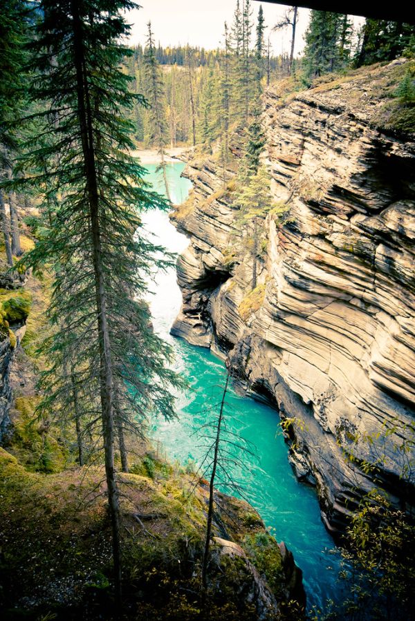 Athabasca River, Alberta