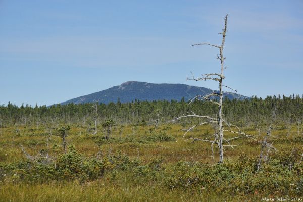Adstock, Quebec