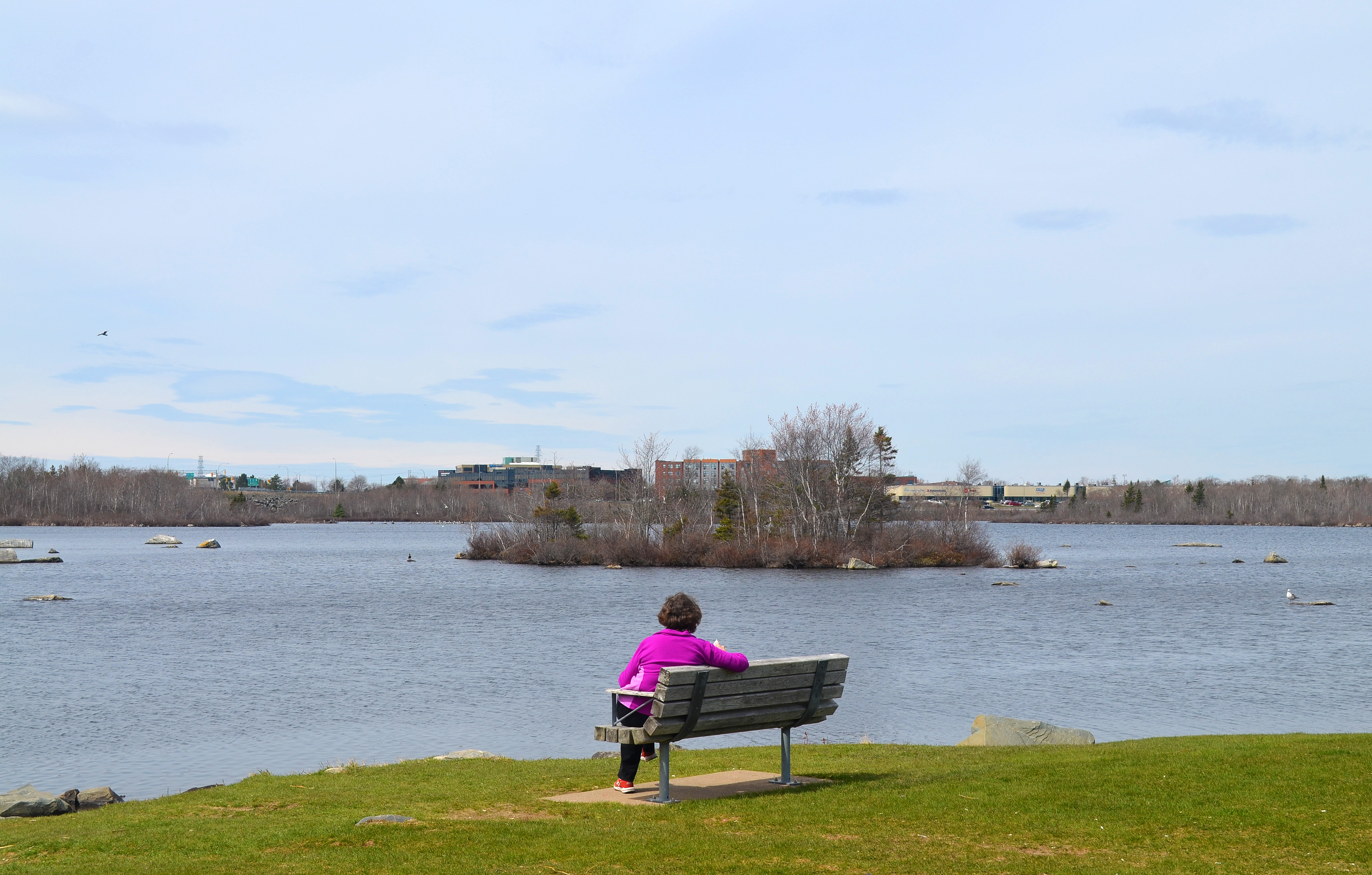 Albro Lake photo 2