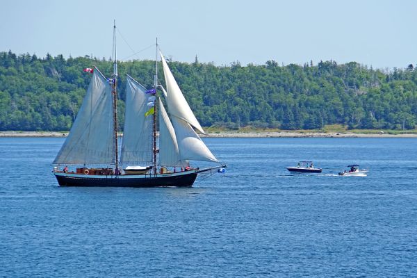 Abandon Bay photo 4