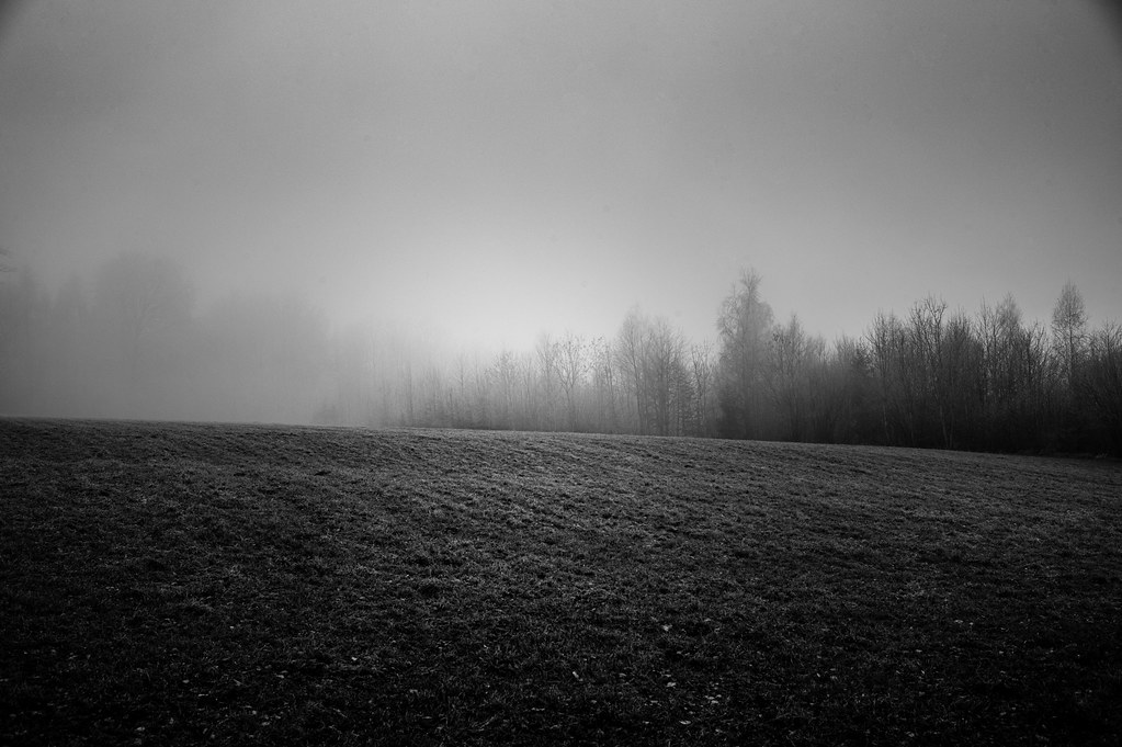 Stein photo 2