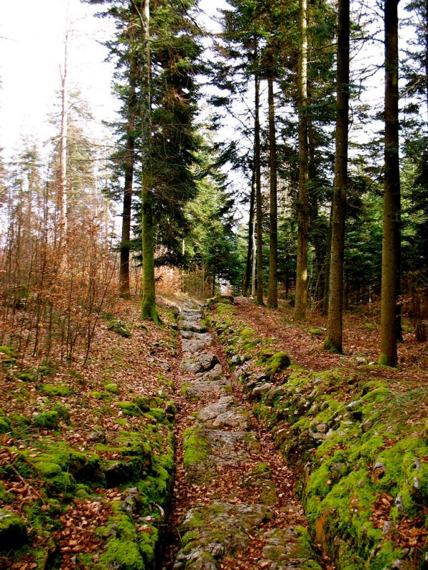 Vallorbe, Vaud