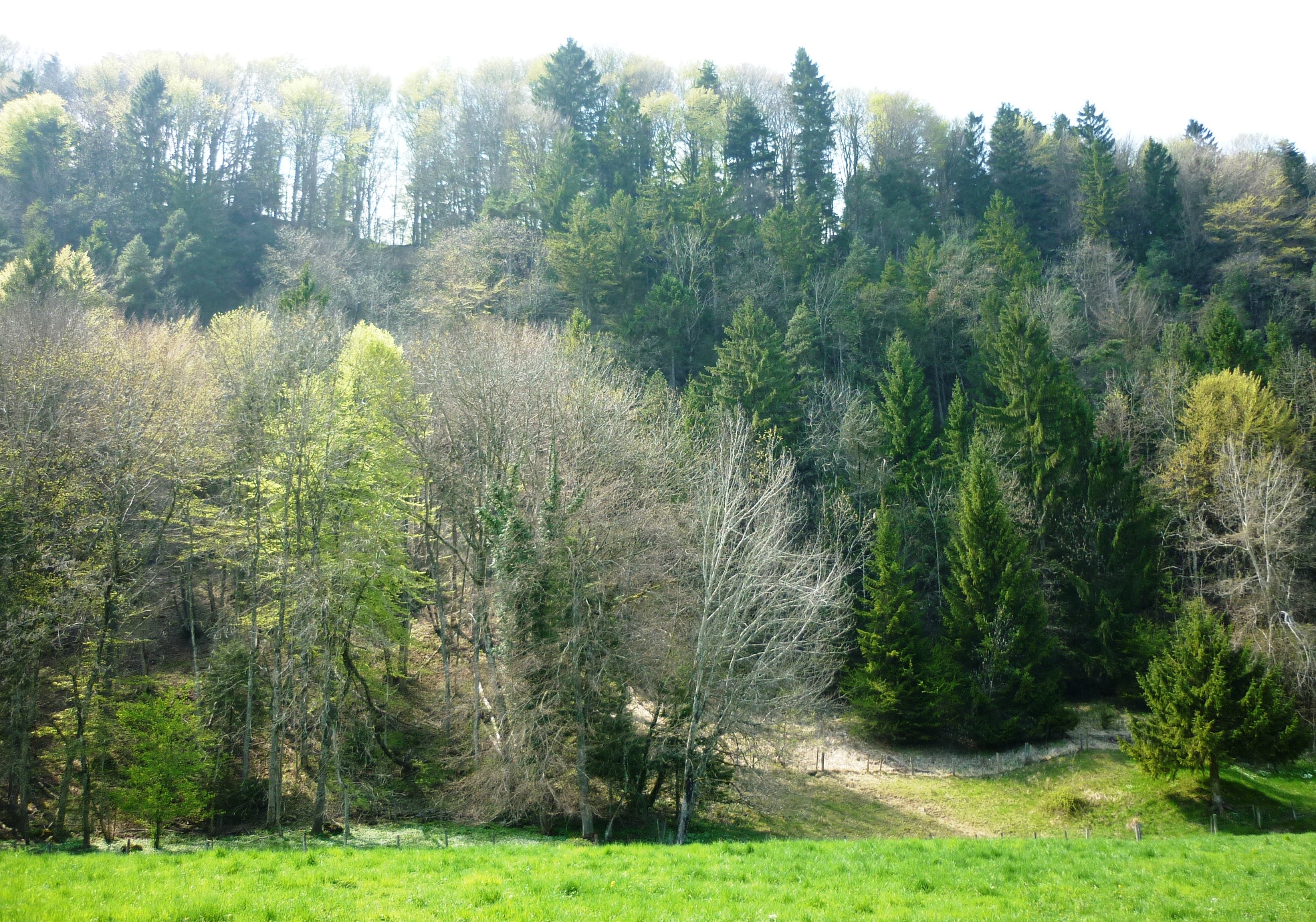 Aeugsterberg, Zurich