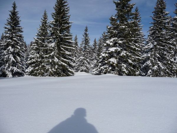 Mont Tendre photo 2
